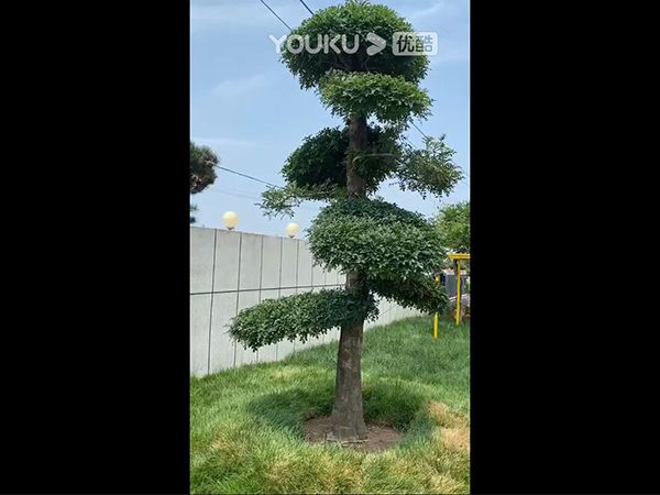 鲁瑞远达生态示范园一角